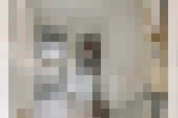 Baron van Tillweg 10 Lienden thumbnail 28
