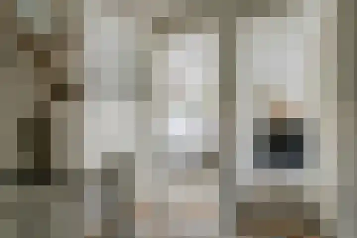 Baron van Tillweg 10 Lienden thumbnail 31