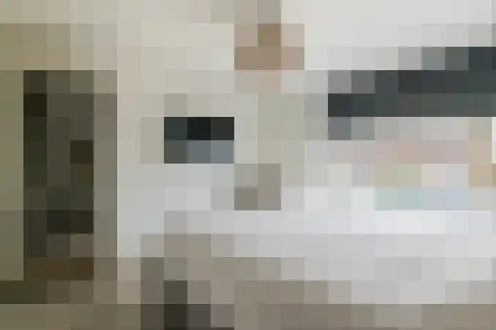 Baron van Tillweg 10 Lienden thumbnail 32