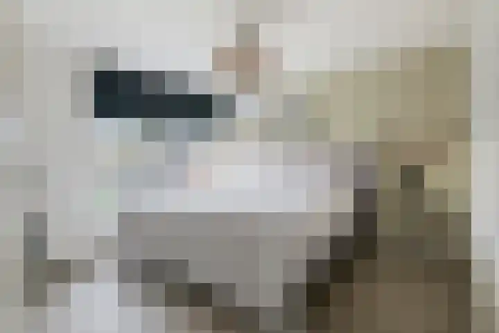 Baron van Tillweg 10 Lienden thumbnail 33