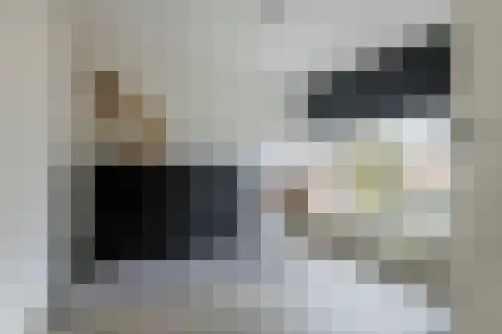Baron van Tillweg 10 Lienden thumbnail 35