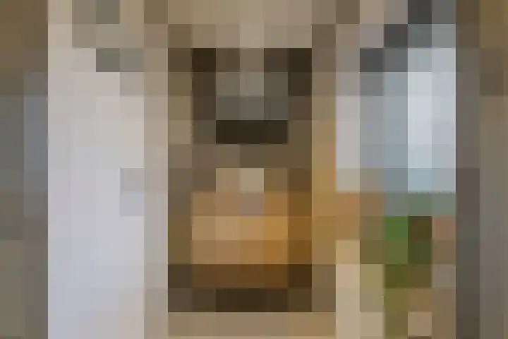 Baron van Tillweg 10 Lienden thumbnail 36