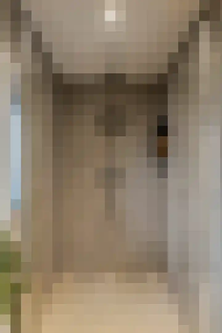 Baron van Tillweg 10 Lienden thumbnail 37