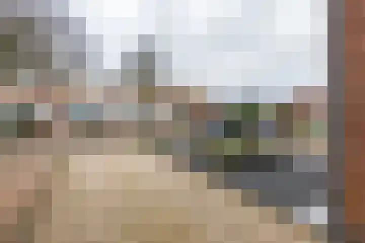 Baron van Tillweg 10 Lienden thumbnail 38