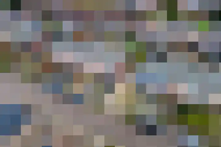 Baron van Tillweg 10 Lienden thumbnail 39