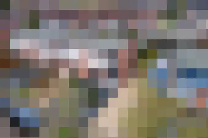 Baron van Tillweg 10 Lienden thumbnail 41