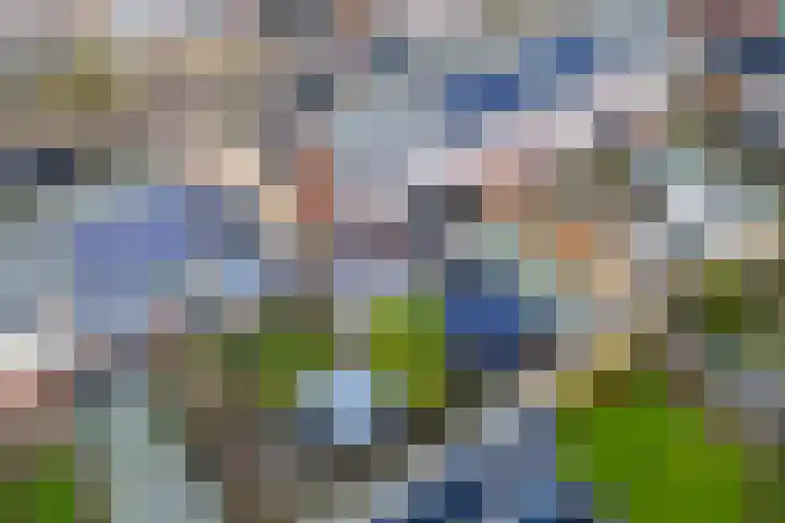 Baron van Tillweg 10 Lienden thumbnail 43