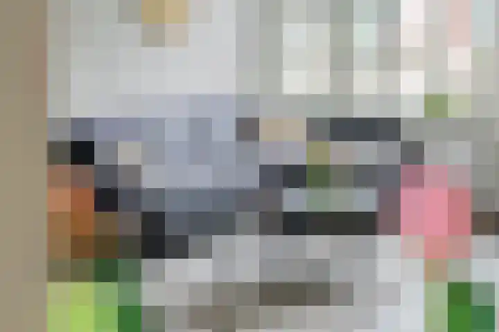 Baron van Tillweg 10 Lienden thumbnail 9