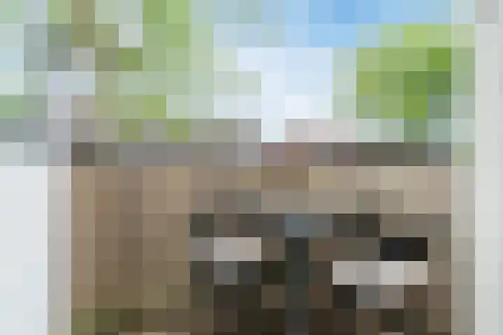 Baron van Tuyll van Serooskerkenstraat 4 A Geldrop thumbnail 11