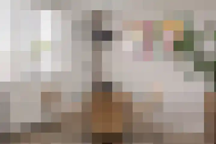 Baron van Tuyll van Serooskerkenstraat 4 A Geldrop thumbnail 14