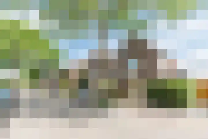 Baron van Tuyll van Serooskerkenstraat 4 A Geldrop thumbnail 31