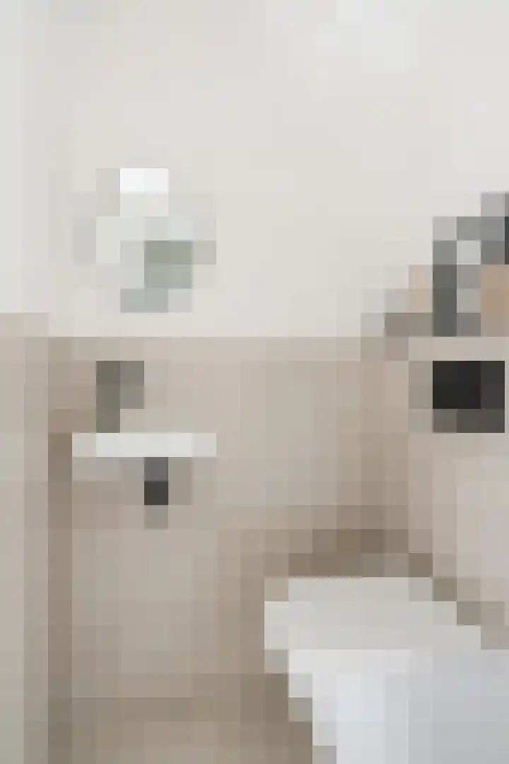 Baron van Tuyll van Serooskerkenstraat 4 A Geldrop thumbnail 7