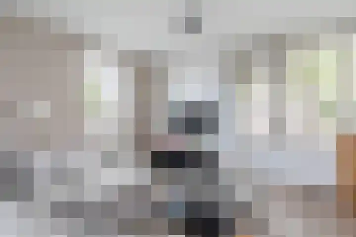 Baron van Tuyll van Serooskerkenstraat 4 A Geldrop thumbnail 9
