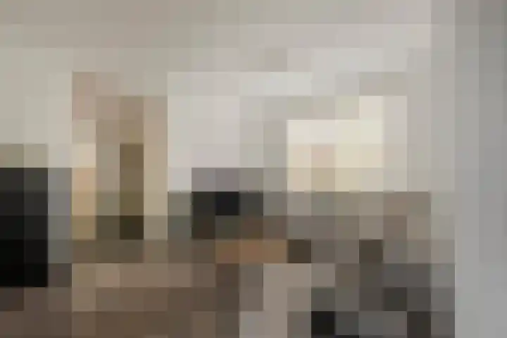 Baron van Tuyll van Serooskerkenstraat 6 Geldrop thumbnail 14