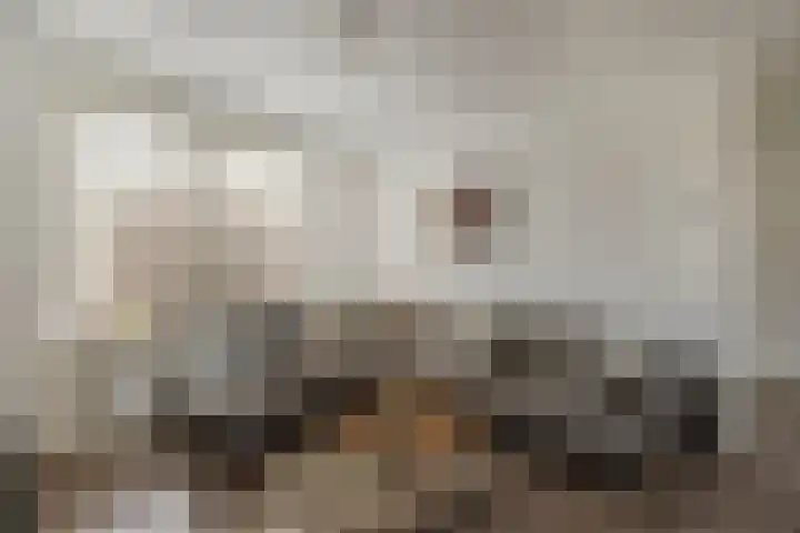 Baron van Tuyll van Serooskerkenstraat 6 Geldrop thumbnail 15