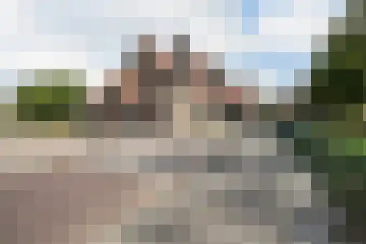 Baron van Tuyll van Serooskerkenstraat 6 Geldrop thumbnail 26