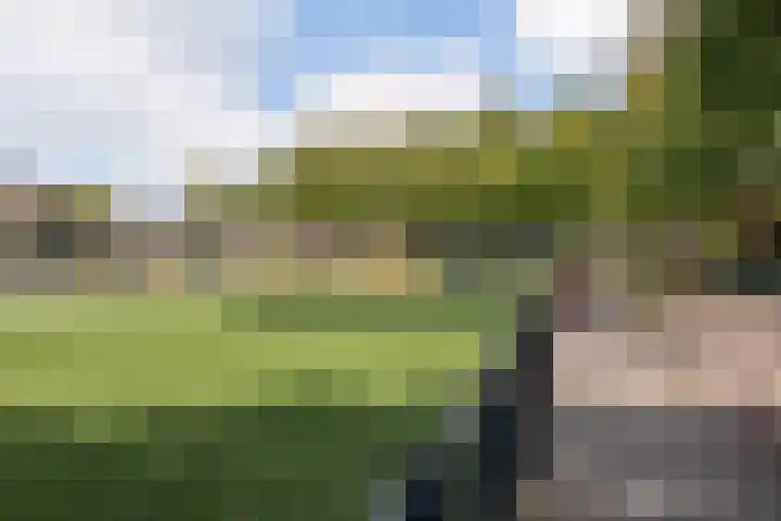Baron van Tuyll van Serooskerkenstraat 6 Geldrop thumbnail 28