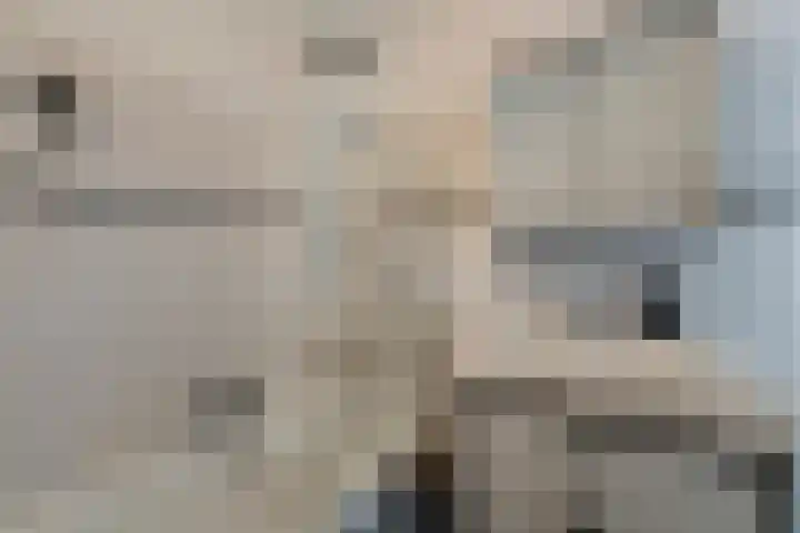 Baron van Tuyll van Serooskerkenstraat 6 Geldrop thumbnail 4