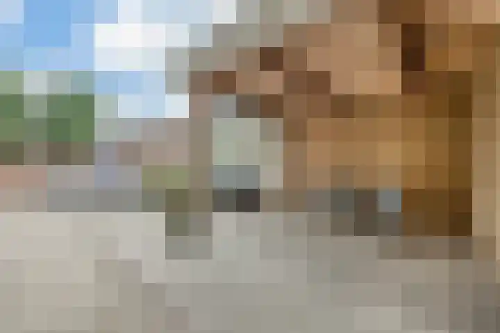 Baron van Tuyll van Serooskerkenstraat 6 Geldrop thumbnail 5
