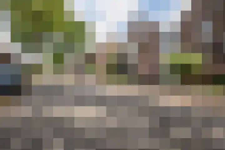 Baron van Tuyll van Serooskerkenstraat 6 Geldrop thumbnail 6