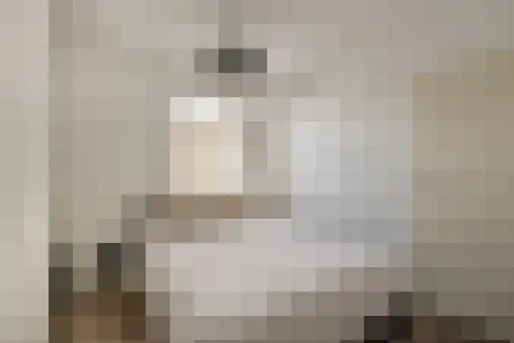 Baron van Tuyll van Serooskerkenstraat 6 Geldrop thumbnail 8
