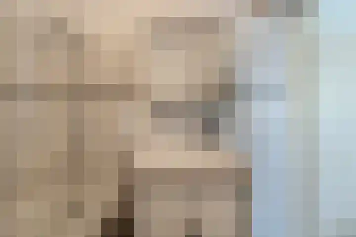 Baron van Tuyll van Serooskerkenstraat 6 Geldrop thumbnail 9