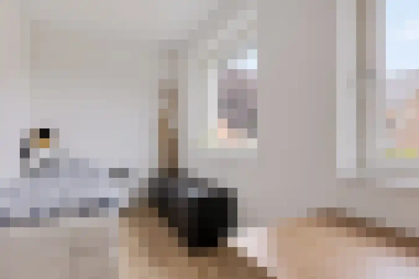 Barones Mackaystraat 3 Blitterswijck thumbnail 18