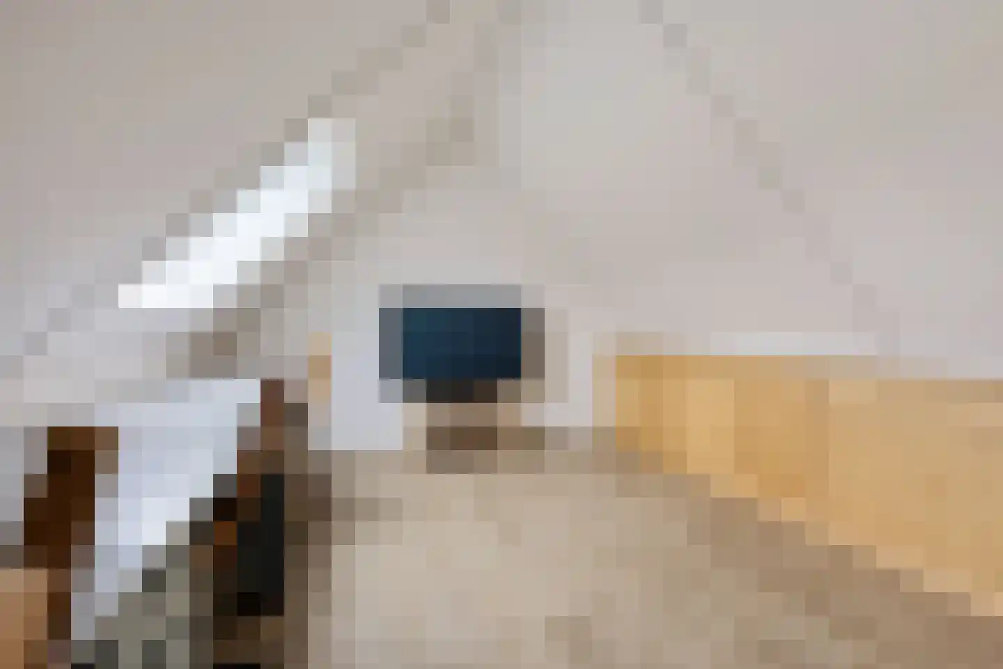 Barones Mackaystraat 3 Blitterswijck thumbnail 26