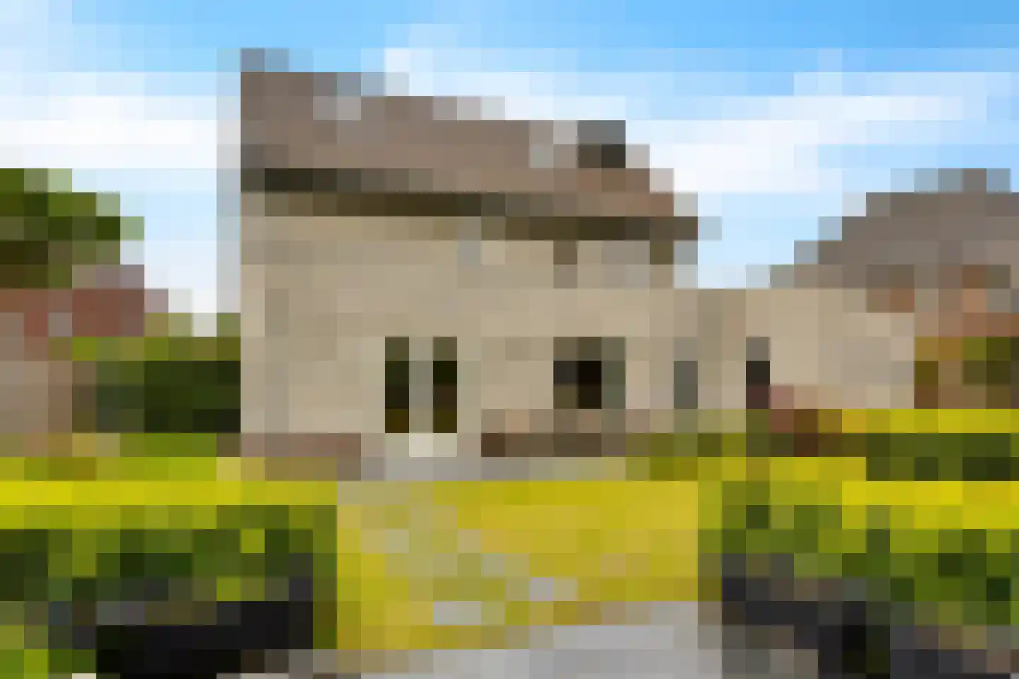 Barones Mackaystraat 3 Blitterswijck thumbnail 35