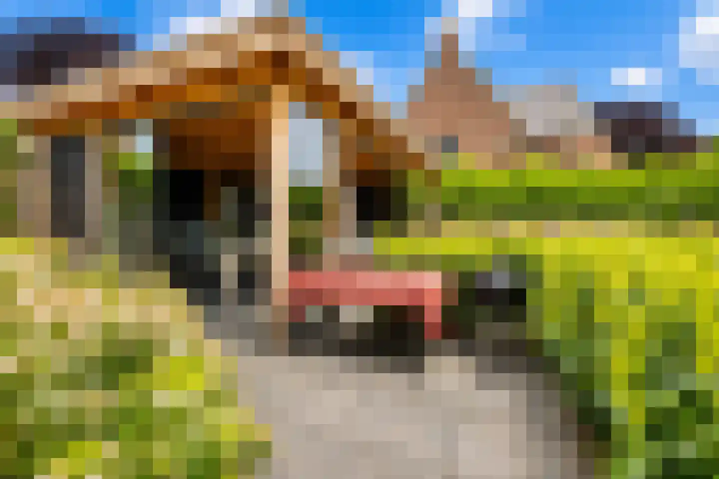 Barones Mackaystraat 3 Blitterswijck thumbnail 40