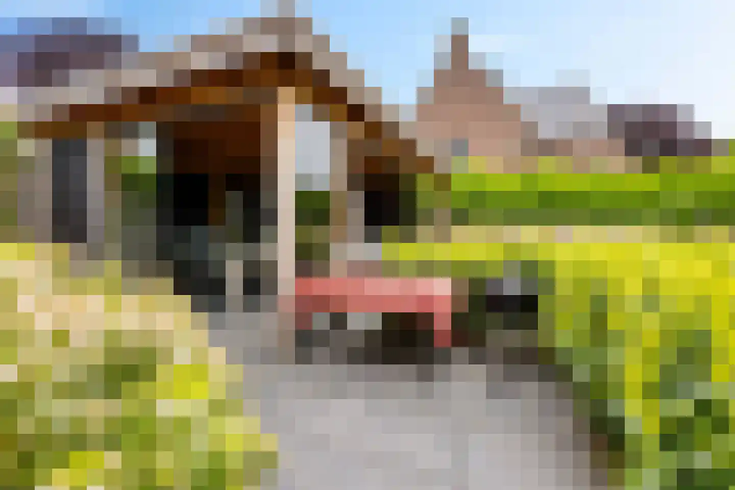 Barones Mackaystraat 3 Blitterswijck thumbnail 41