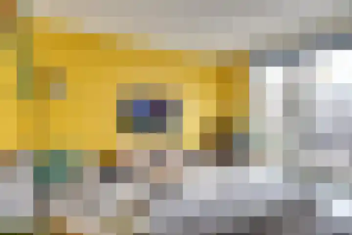 Barones van Voorst tot Voorsthof 6 Geldrop thumbnail 10