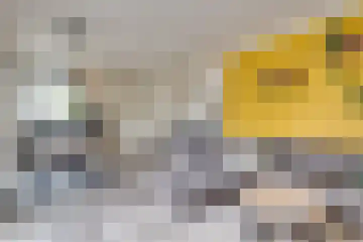 Barones van Voorst tot Voorsthof 6 Geldrop thumbnail 11