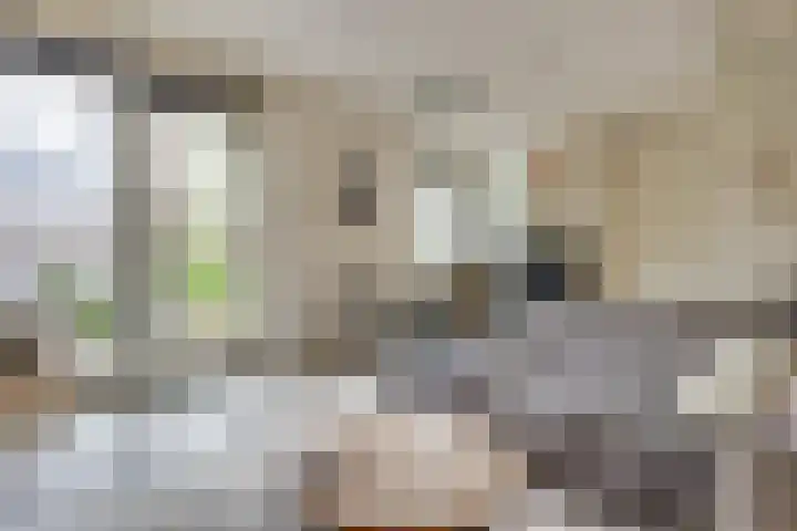 Barones van Voorst tot Voorsthof 6 Geldrop thumbnail 12