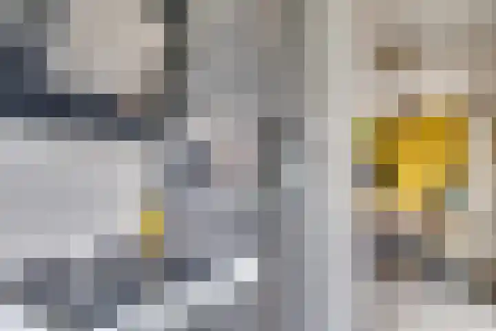 Barones van Voorst tot Voorsthof 6 Geldrop thumbnail 16