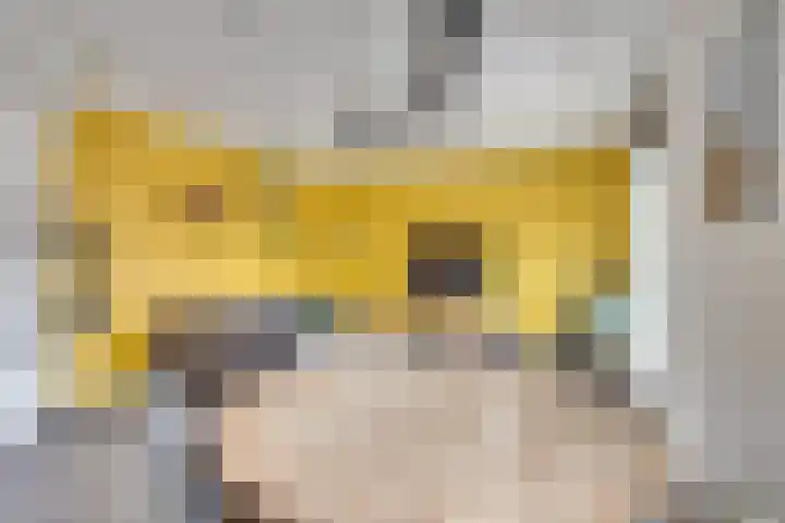 Barones van Voorst tot Voorsthof 6 Geldrop thumbnail 17
