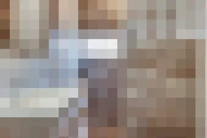 Barones van Voorst tot Voorsthof 6 Geldrop thumbnail 23