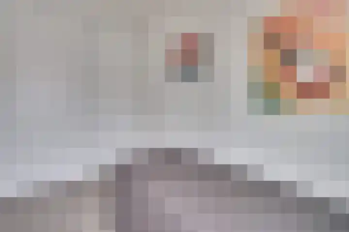 Barones van Voorst tot Voorsthof 6 Geldrop thumbnail 27