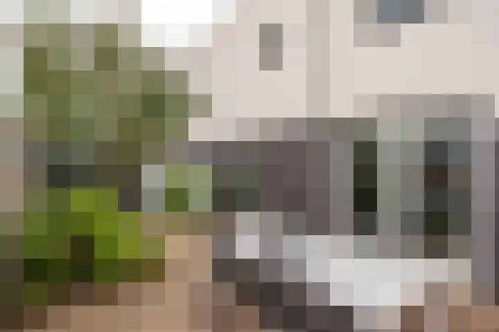 Barones van Voorst tot Voorsthof 6 Geldrop thumbnail 28