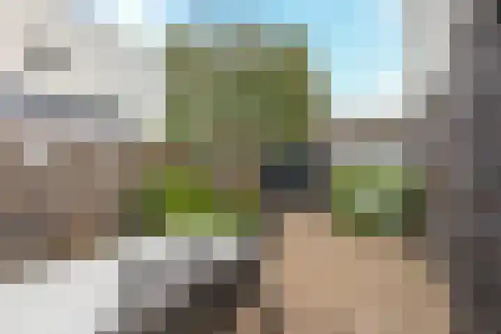 Barones van Voorst tot Voorsthof 6 Geldrop thumbnail 29