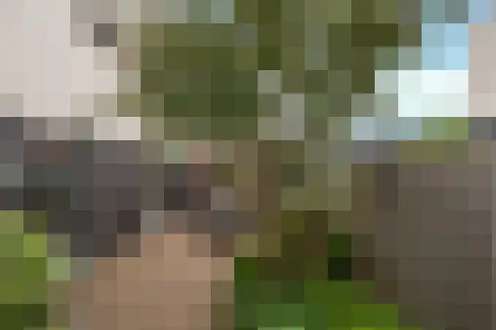 Barones van Voorst tot Voorsthof 6 Geldrop thumbnail 31