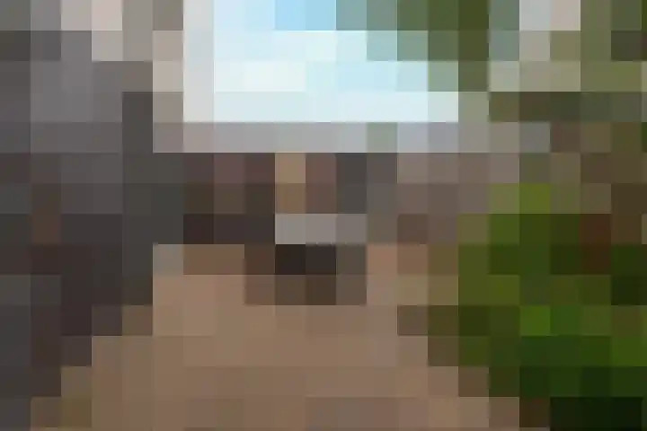 Barones van Voorst tot Voorsthof 6 Geldrop thumbnail 32