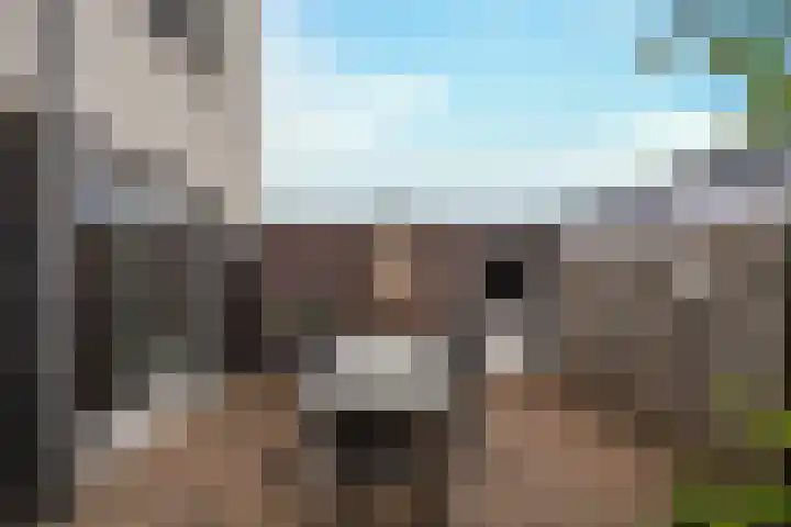 Barones van Voorst tot Voorsthof 6 Geldrop thumbnail 33