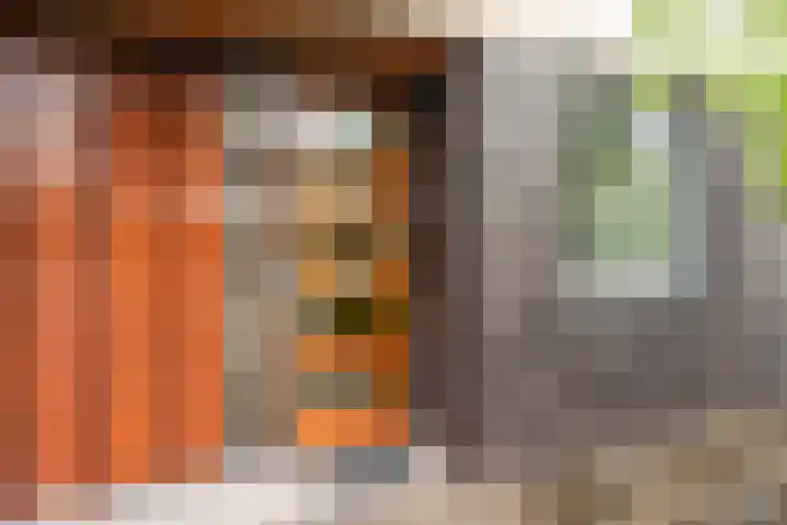 Barones van Voorst tot Voorsthof 6 Geldrop thumbnail 5