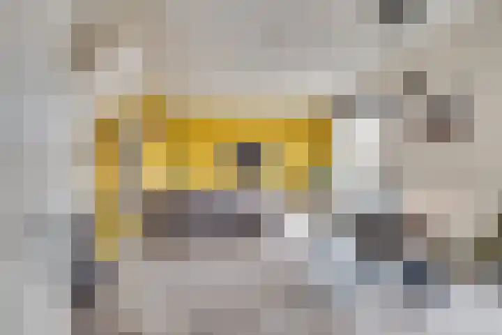 Barones van Voorst tot Voorsthof 6 Geldrop thumbnail 7