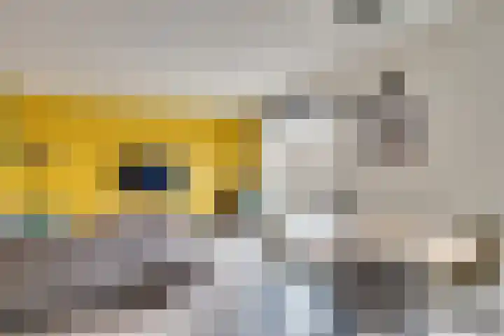 Barones van Voorst tot Voorsthof 6 Geldrop thumbnail 8