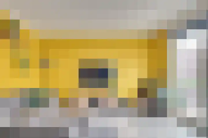 Barones van Voorst tot Voorsthof 6 Geldrop thumbnail 9