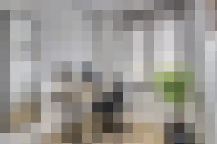 Baronesstraat 25 Grave thumbnail 18