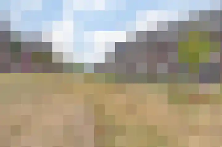 Baronesstraat 25 Grave thumbnail 32