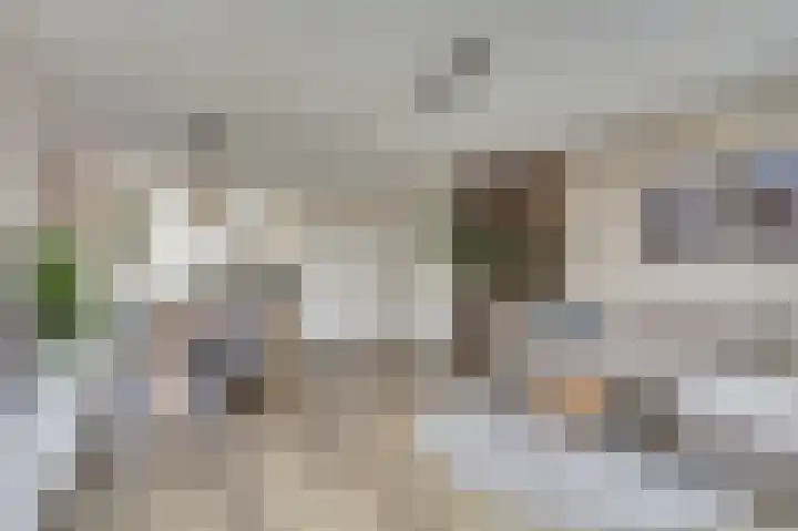 Baronesstraat 25 Grave thumbnail 5